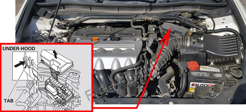 Расположение предохранителей в моторном отсеке: Acura TSX (CU2; 2009-2014)
