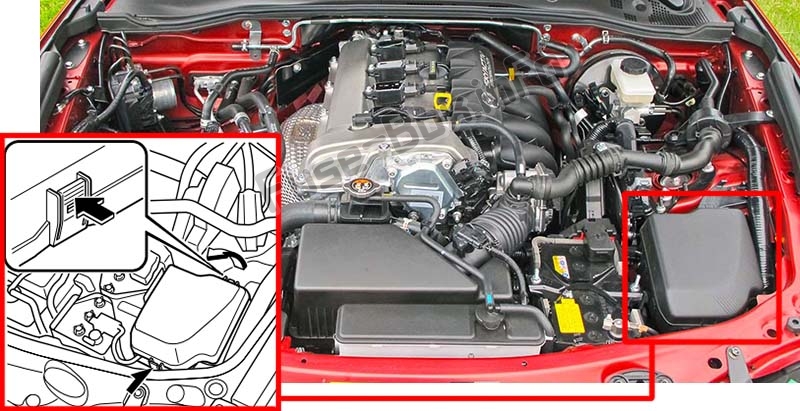 Расположение предохранителей в моторном отсеке: Mazda MX-5 Miata (ND; 2016-2019 ..)